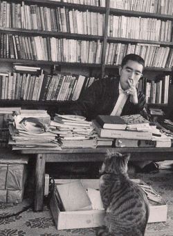 mishima