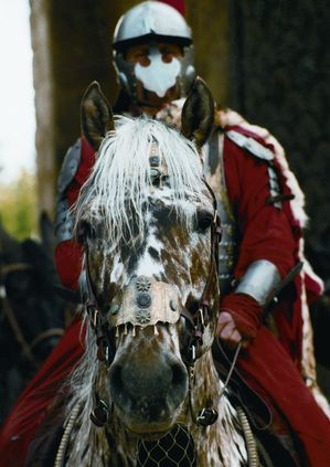 withfireandsword: Hussars