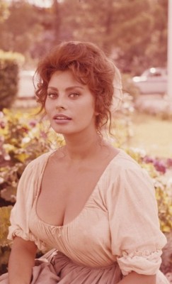 gatabella:   Sophia Loren, Madame Sans-Gêne,