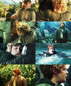  The Lord of the Rings &amp; Sam   ⇢  requested by katoakenshield  You’ve left out one of the chief characters - Samwise the Brave. I want to hear more about Sam.  