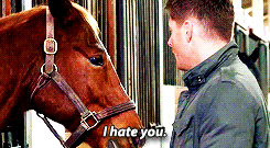 trendylittlefuck:  When I get married, I wont settle of anything less than a Dean Winchester
