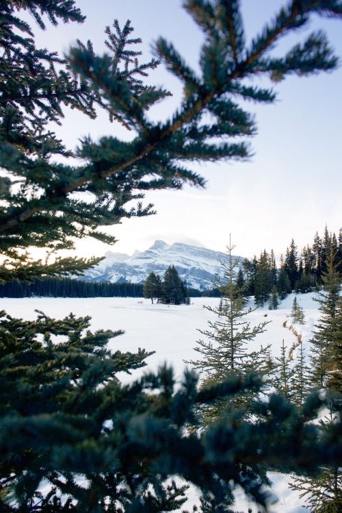 Two Jack Lake.