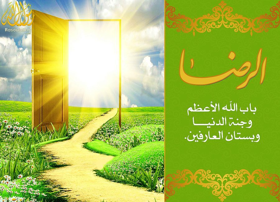 طالب وظيفة تجريبي أجنبي من ثمرات الرضا بقضاء الله وقدره Lotsoflott Com