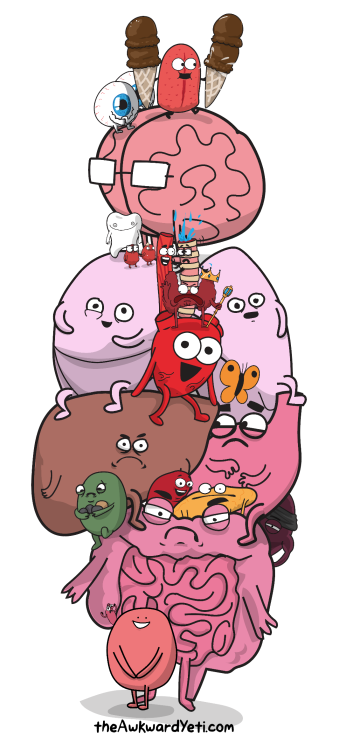 larstheyeti:  this anatomy diagram I made is so accurate it makes your own body look like a cubism painting. http://theawkwardyeti.com