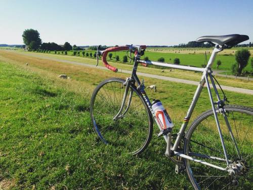 Used the great weather #latergram #cycling #gazelle (hier: Wedel)