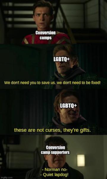 Its a meme ive been thinking about for a little while now. #gay_irl#lgbt memes#funny#lgbt#lgbt community#lesbian memes