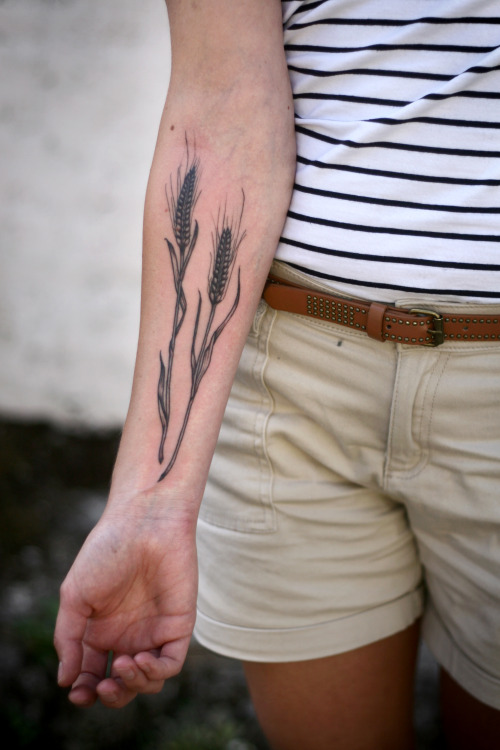 alicecarrier:  wheat stalks on calantha, owner of elora bread trading co. in ontario.  