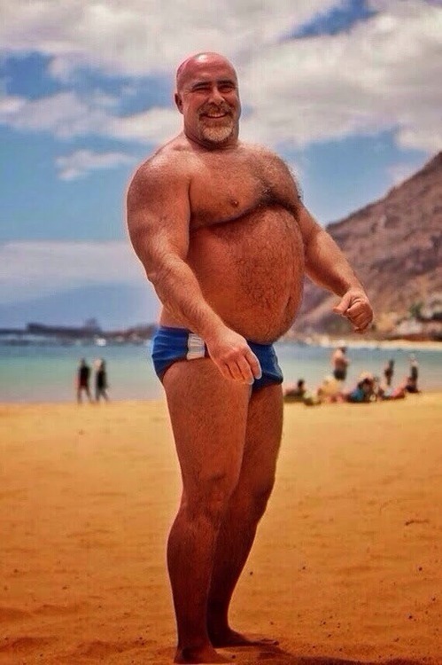 speedozone: magnificent speedo bear, looking for more pics of him!