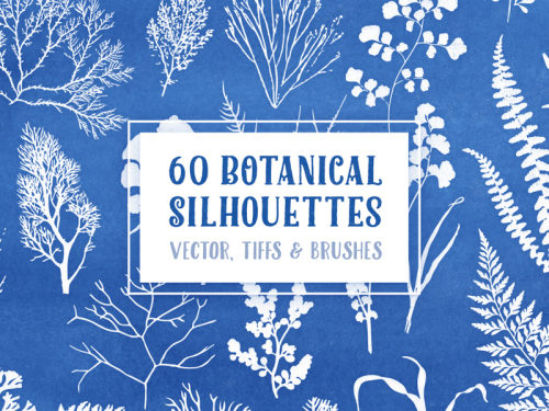 graphicdesignblg:60 Botanical Silhouettes Pack by Gerren LamsonFollow us on Instagram @graphicdesign