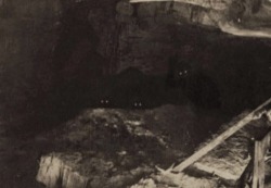 bonesrowanoak: weremuffin:  unexplained-mysteries:  This photo was taken in 1895 by an amateur spelunker/photographer named Oren Jeffries while exploring an unmapped section of Grand Caverns, in Southwestern Virginia. At the time it was taken, Jeffries