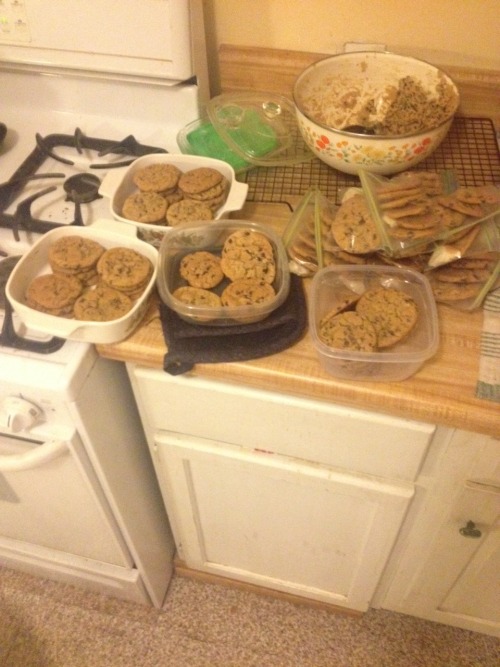 guccikeychain:  i’m going mad with cookie power  nope you cAN’T HAVE ANY