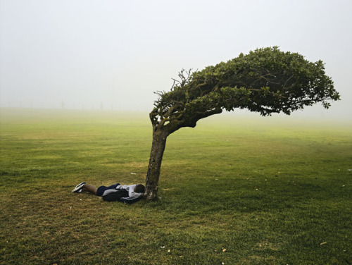 mpdrolet:Green Point Capetown, 2013Pieter Hugo