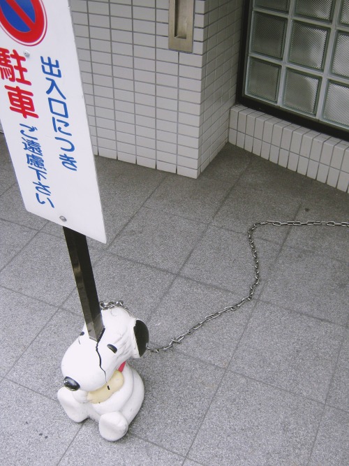 teupolete:  20160917　台風がくる前に    彼が何をした？ 