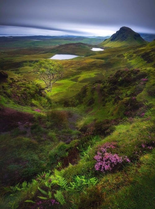 maureen2musings:Quiraingnickschmid