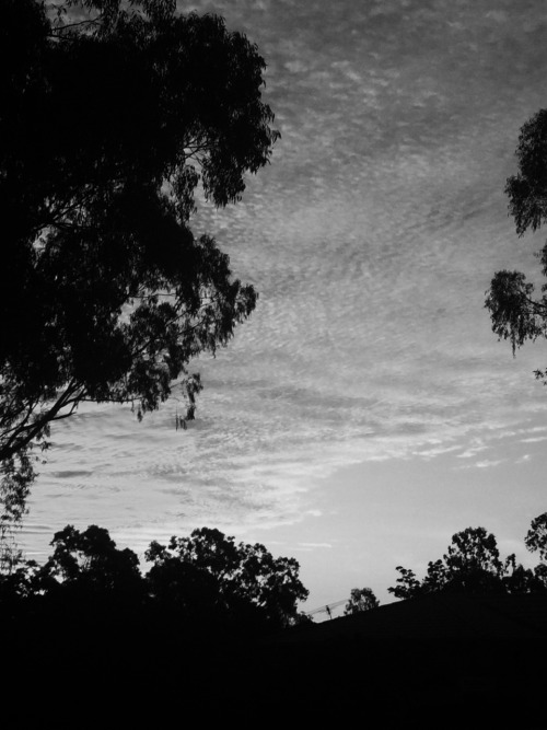 necro-mance:  Clouds are pretty cool