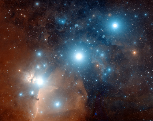 crookedindifference: Orion’s Belt