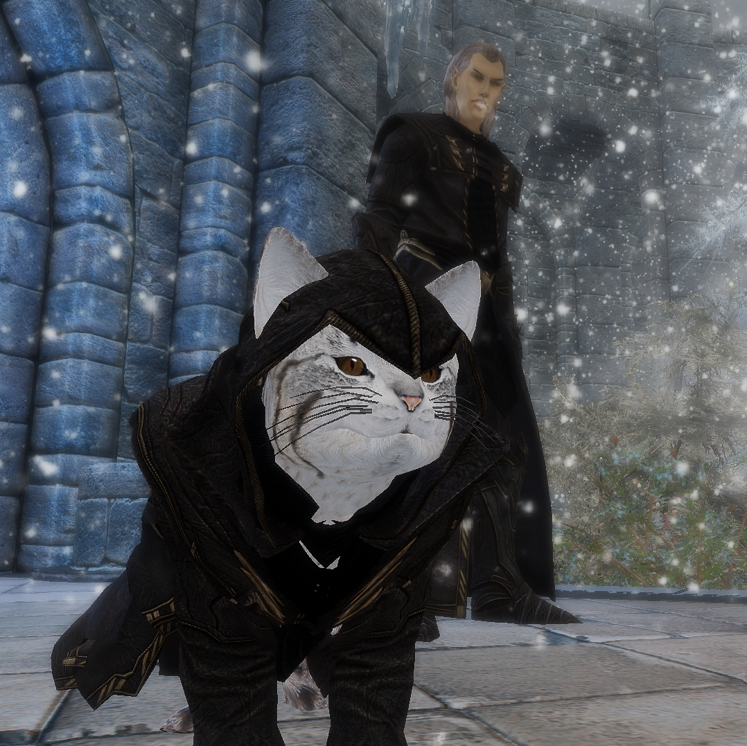 better looking khajiit sse better looking khajiit sse