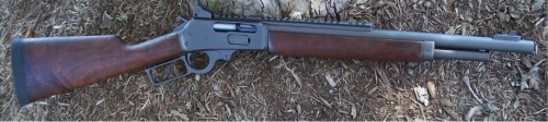 collective-solace:  Some glorious 45-70 gvt. for your viewing pleasure. This amount of rail on a lever action is permissible, anything more is just not okay. Not very fond of the new tacticool variants. 