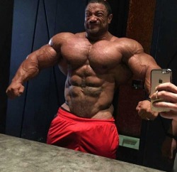 Roelly Winklaar - A few weeks prior to Olympia 2016.