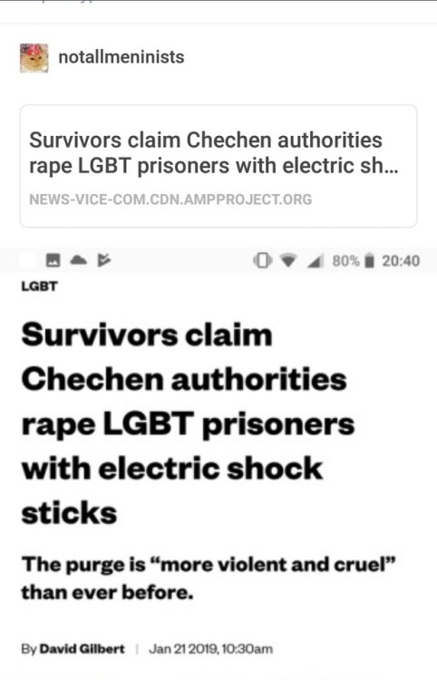 pussypisces: DONT REBLOG THIS POST ABOUT THE HOMOPHOBIA &amp; RAPE IN CHECHEN THE OP IS A RADFEM