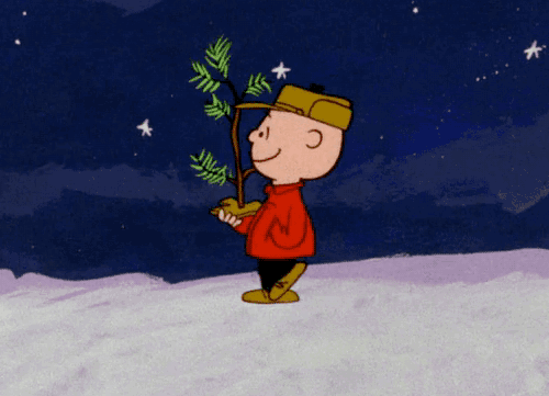 whystudywhenicanmeme:Actual footage of me right now tis the season