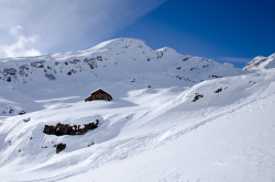 cabinporn:  Spotted while snowshoeing near Grindelwald, SwitzerlandContributed by Quinn Newton 