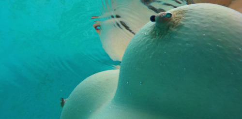 cheekywetslut:wet to bounce