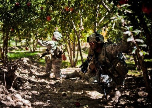 freeafghanistan:  oakapples:  Soldiers in groves of pomegranate trees, Afghanistan. Kandahar was once renowned for the quantity and quality of pomegranate fruit that it exported to foreign markets.  Look at these ugly fuckers polluting Kandahar’s Anaar