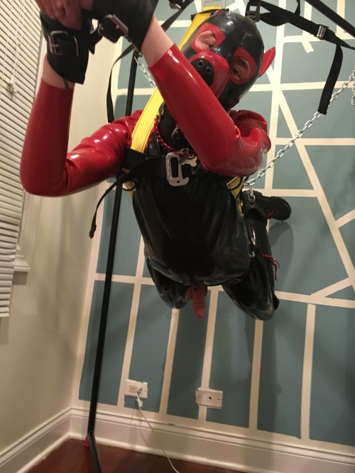 strugglepup:  Arf! New suspension set up is ready for action. Did a quick test run tonight to figure out the best way to go with it. It worked well  hooked up with an electro plug in and milked dry  thanks for a great time as always Alpha pup Delta