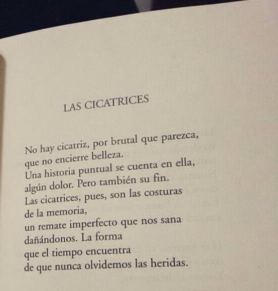 hachedesilencio:  Piedad Bonnett