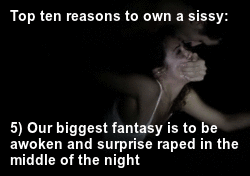 abc12316:  Top ten reasons to own a sissy