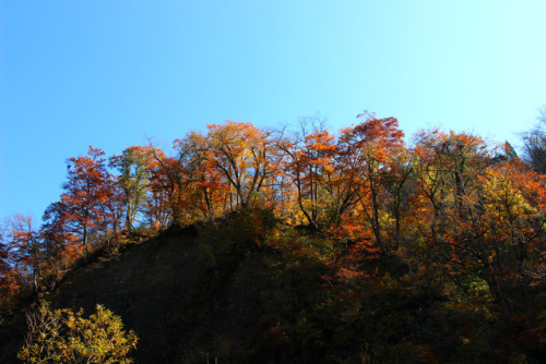 20171105（日,sun）刈込池登山道、紅葉