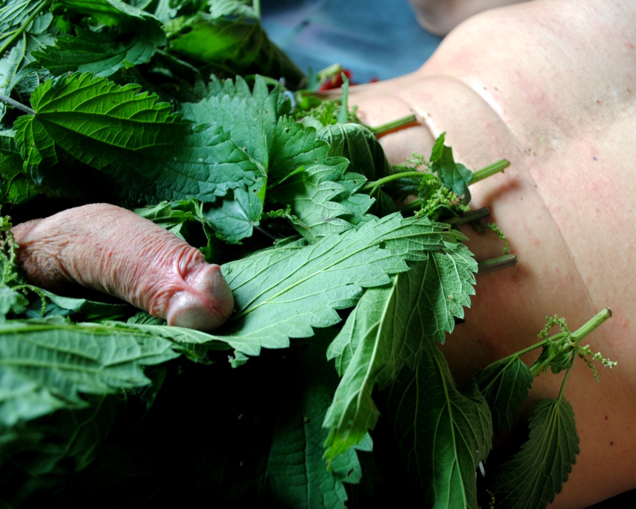 Look what’s hidden in the nettle bushes.