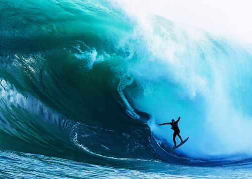 highenoughtoseethesea:  How heavy can you handle? This is Tasmania’s favorite mutant, Shipstern Bluff.  It breaks on practically dry reef, the water is notoriously sharky, and mind the ledge.  Tasmanian devil