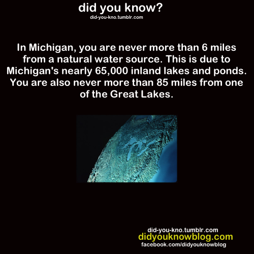 did-you-kno:   Source 