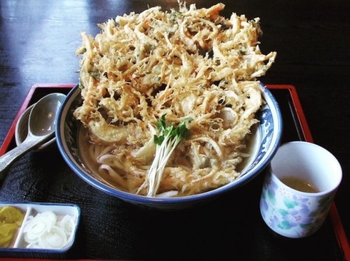 かき揚げがデッカいσ(￣、￣=) いせ福（伊勢原） #udon #sanukiudon #delicious #isehara