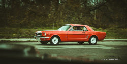 ford-mustang-generation:  IMG_34111 by Lucasz Z. on Flickr.