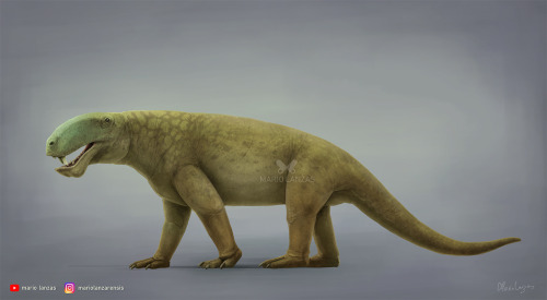 EOTITANOSUCHUSIt might look similar to gorgonopsids, but this Synapsid was more primitive. Featured 