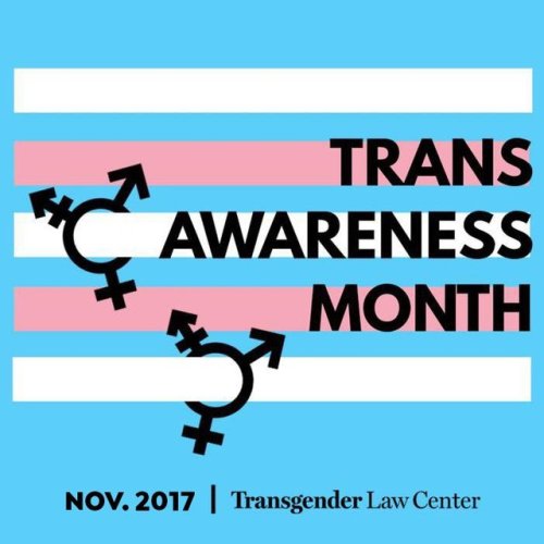 bi-trans-alliance:November is Trans Awareness Month! 