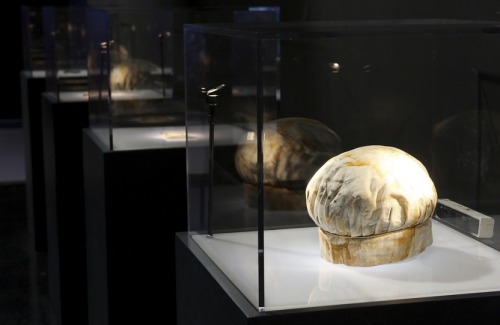 A chefs hat recovered from the Titanic’s wreck.