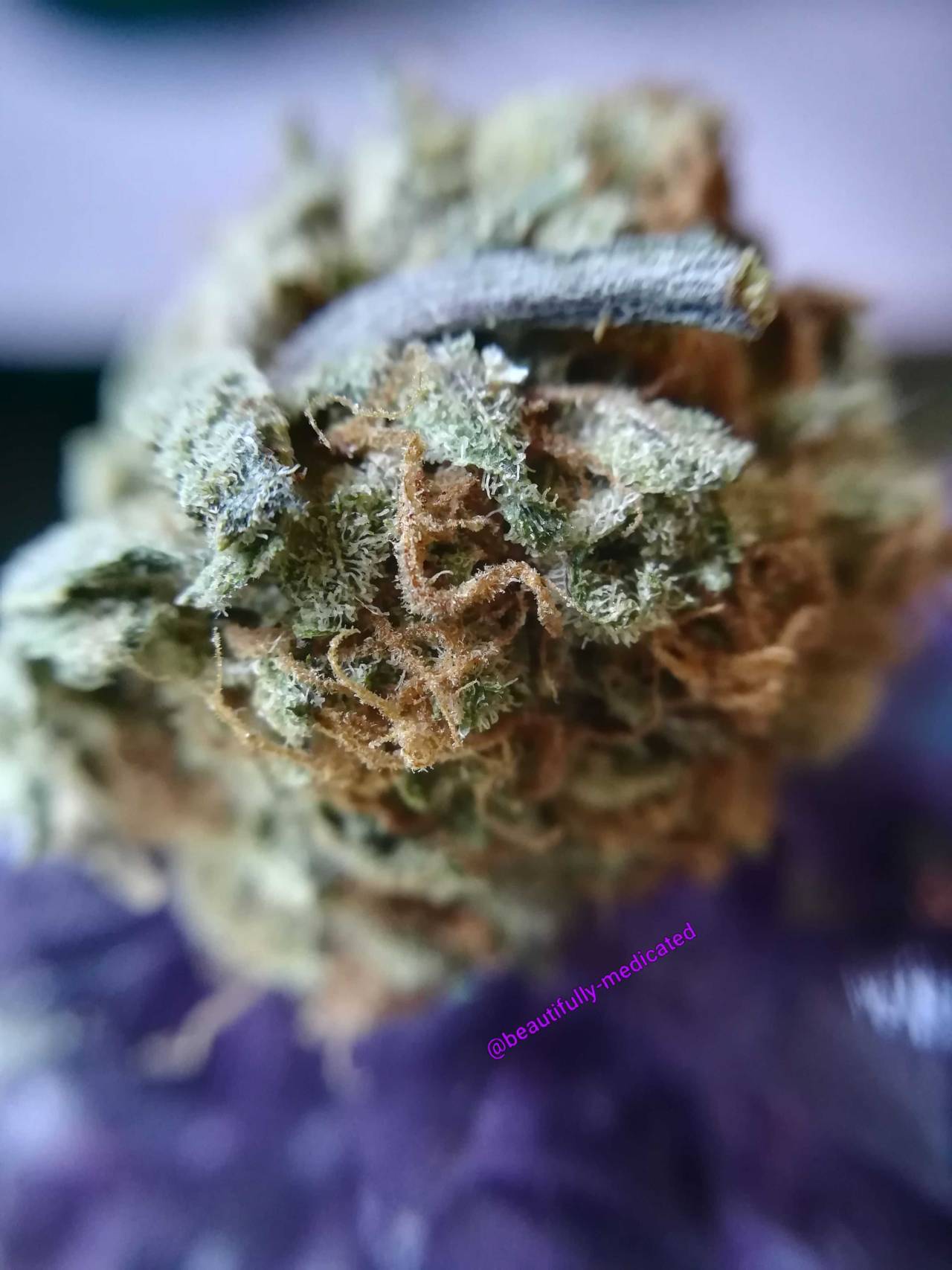 beautifully-medicated:Recharging my nugs with Amethyst 💜