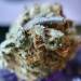 beautifully-medicated:Recharging my nugs with Amethyst 💜