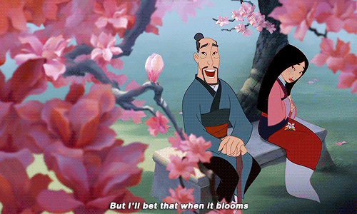 risahmed:My, my! What beautiful blossoms we have this year.