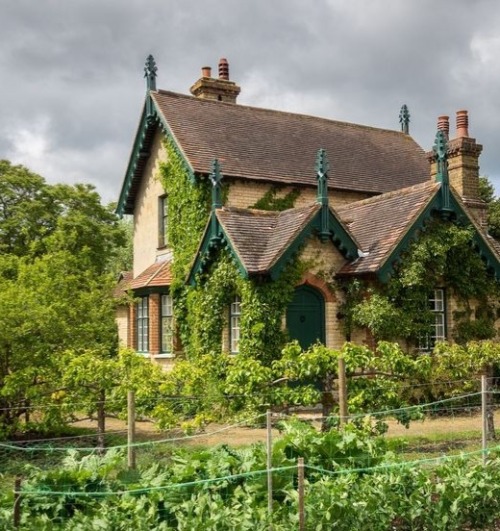 dreamsofautumnisolation - rain, moss, dark cottages, dreams