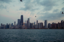  Chicago, Illinois | USA  Jason Lee 