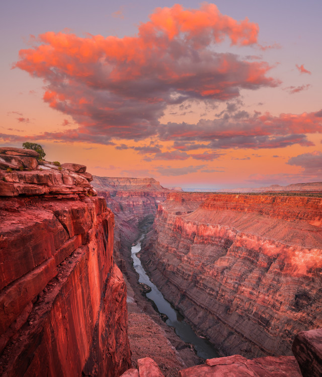 XXX lionfloss:North Rim Grand Canyon photo