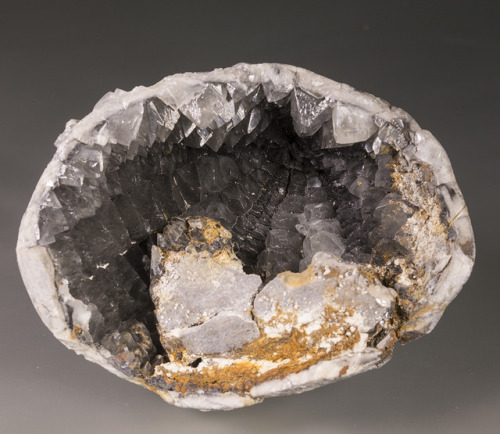 bijoux-et-mineraux:Calcite in a Sea Urchin Fossil - Calais, Nord Pas de Calais, France