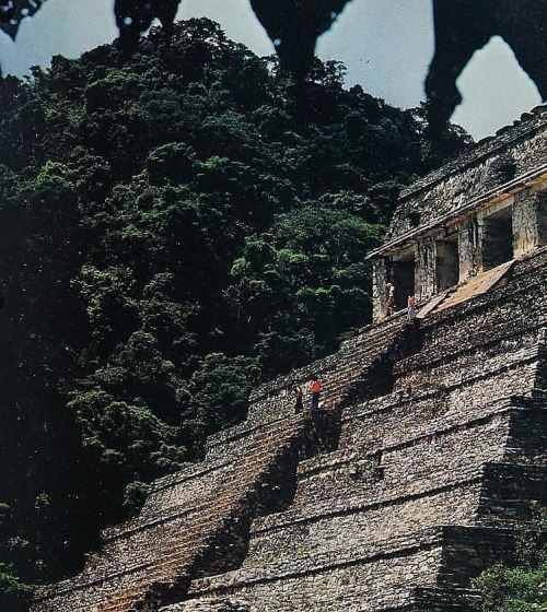 equatorjournal: Otis Imboden, Crowning a terraced pyramid at Palenque, 1974. From “The mysterious Ma