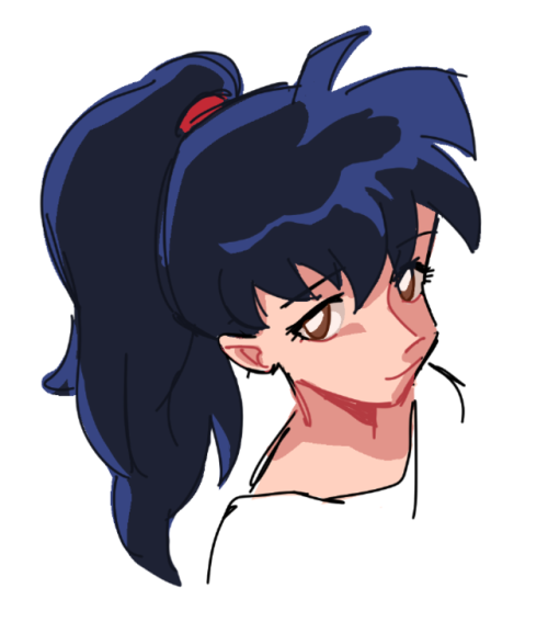 Inuyasha cast…but with different hairstyles