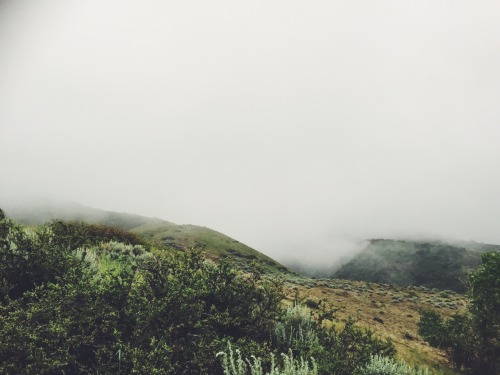 kassidoubledd: I’m so in love with this rain and fog lately